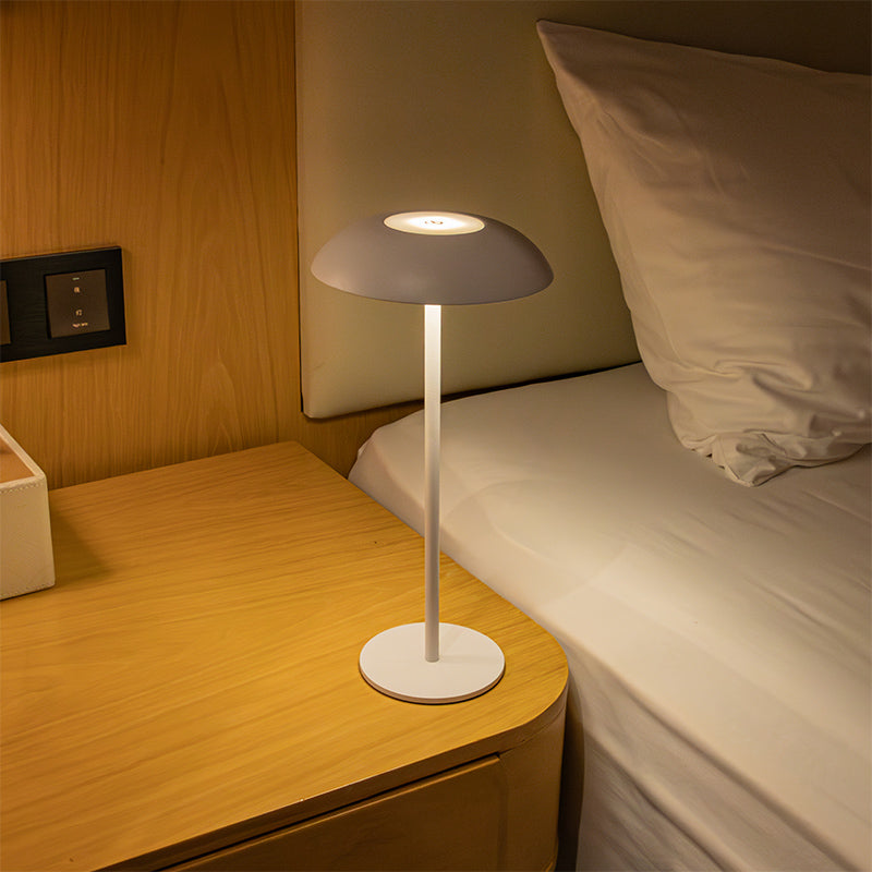 IJzeren elegante lamp