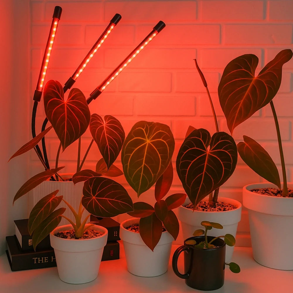 Lampe de culture FloraFlare™