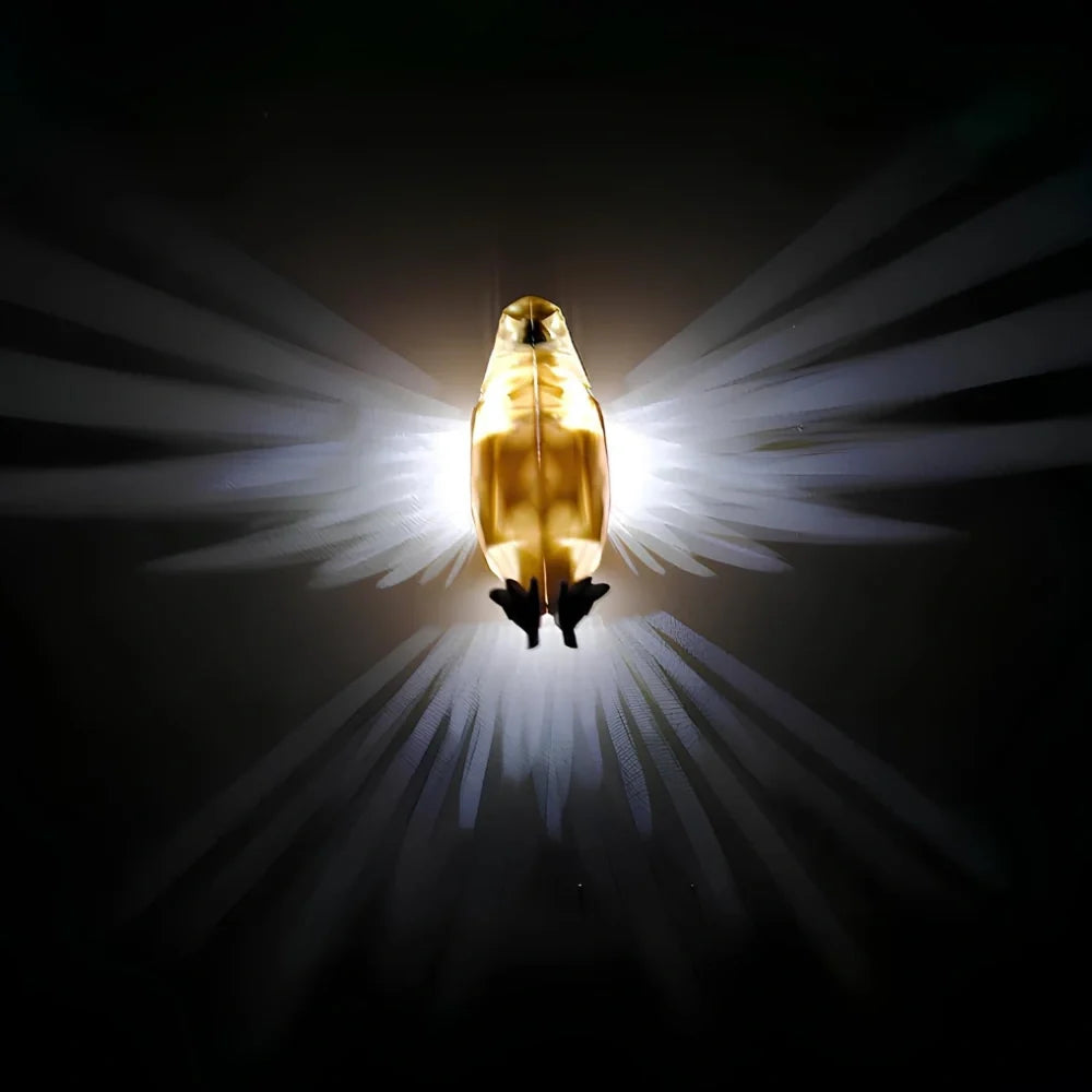 Ailes Lumineuses™