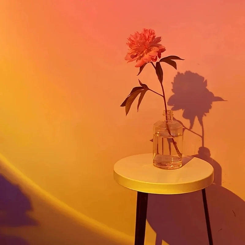 Projecteur coucher de soleil