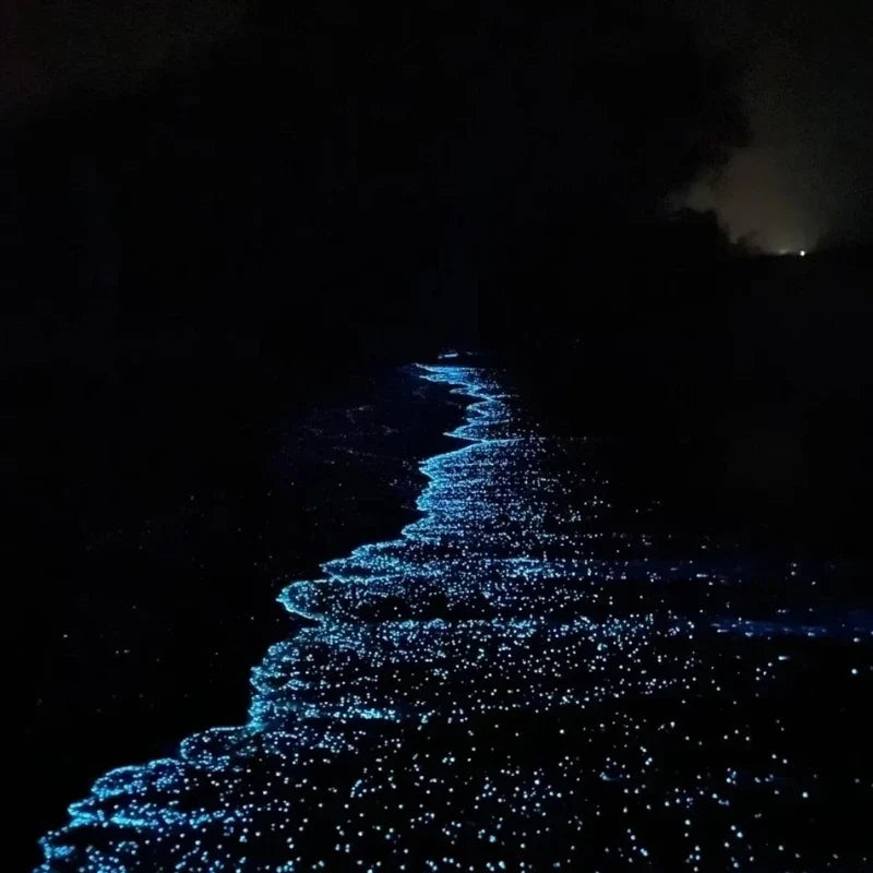 GlowPebbles™ Pierres lumineuses