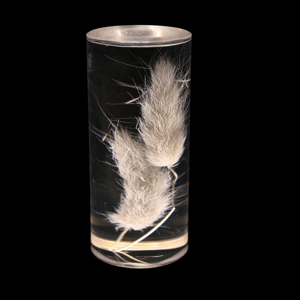 Lampe de table Eternal Blossom™